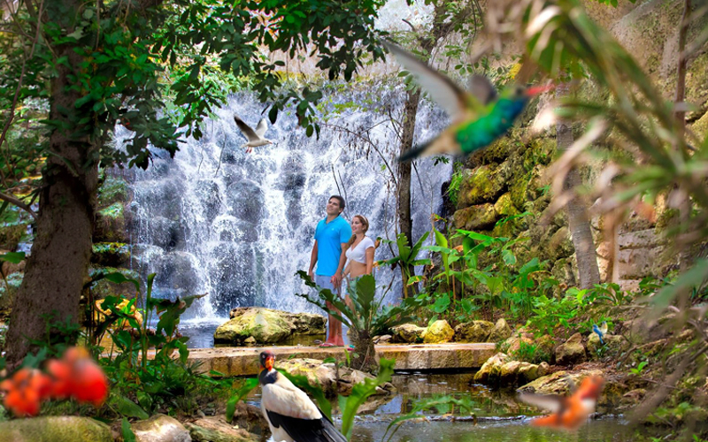 03 Aviario Xcaret