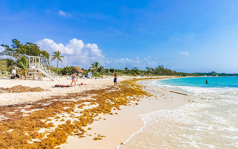 How to Avoid Sargassum in Cancún in 2026