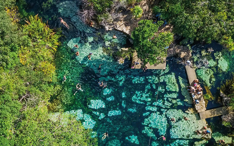 Open cenote in the Riviera Maya with crystal-clear water surrounded by tropical vegetation.