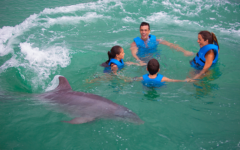 Family swimming with dolphins during their vacation in Cancun