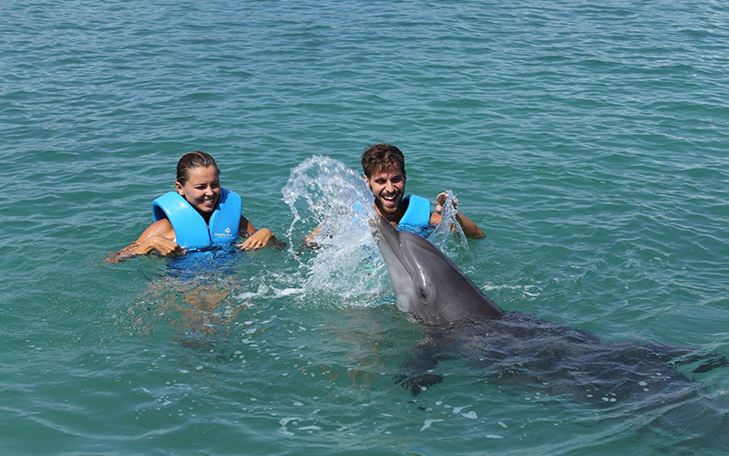 Imagenes Blog 5 Enero Nado