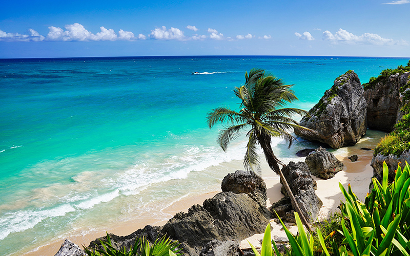 Imagenes Blog 5 Enero Paraiso