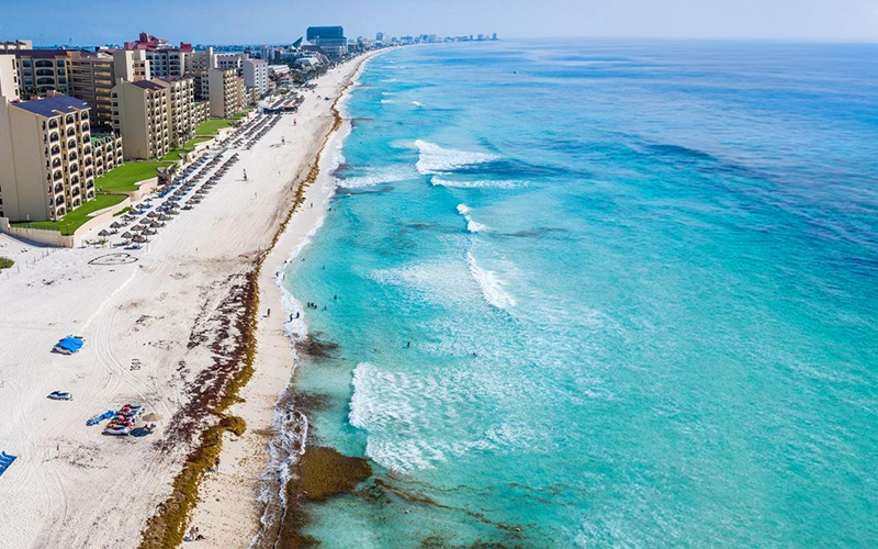 Cancun beach during sargassum season